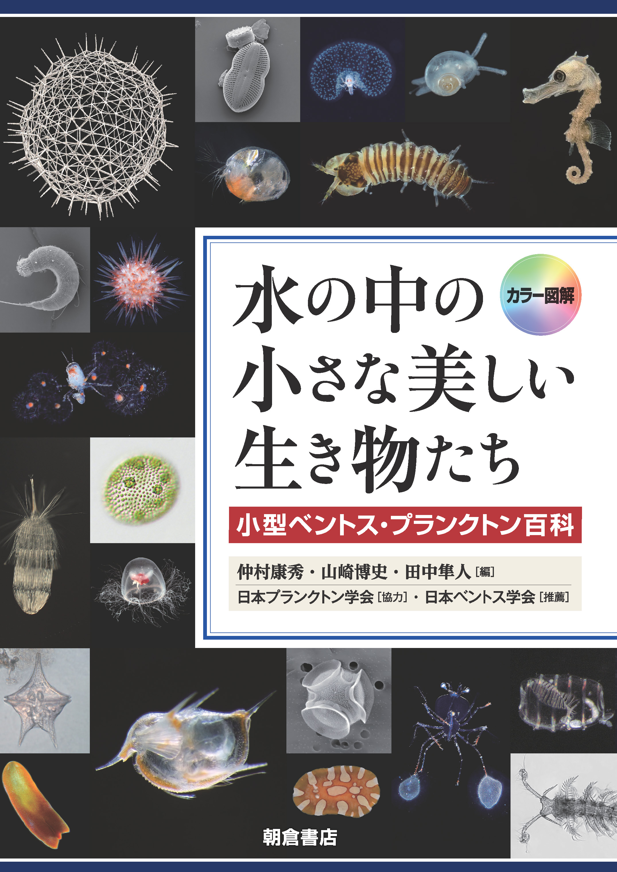 カラー図解 水の中の小さな美しい生き物たち